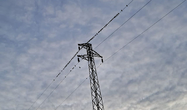 O Bölgedeki Elektrik Kesintilerinin Asıl Nedeni Ortaya Çıktı...