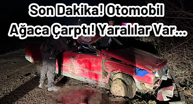 Son Dakika! Otomobil Ağaca Çarptı! Yaralılar Var...