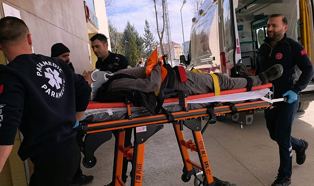 Feci Kaza! Ağaçtan Düşen Kişi Ağır Yaralandı...