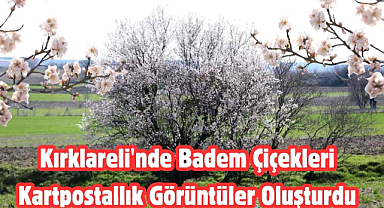 Kırklareli'nde Badem Çiçekleri Kartpostallık Görüntüler Oluşturdu