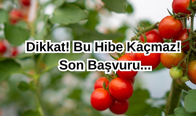 Dikkat! Bu Hibe Kaçmaz! Son Başvuru...