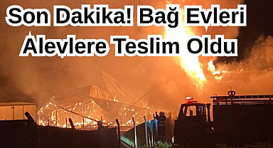 Son Dakika! Bağ Evleri Alevlere Teslim Oldu