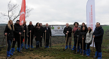 Trakya’da Yeşil Alan Seferberliği! Servi Fidanları Toprakla Buluştu
