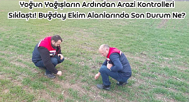 Yoğun Yağışların Ardından Arazi Kontrolleri Sıklaştı! Buğday Ekim Alanlarında Son Durum Ne?