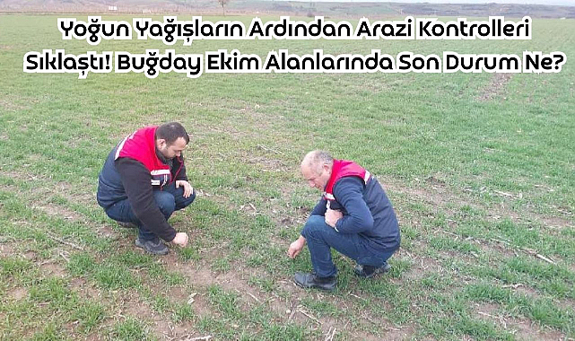Yoğun Yağışların Ardından Arazi Kontrolleri Sıklaştı! Buğday Ekim Alanlarında Son Durum Ne?