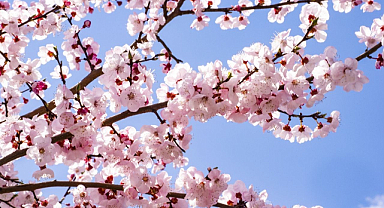 Baharın Müjdesi Nevruz, Kırklareli’nde Coşkuyla Kutlanacak