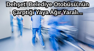 Dehşet! Belediye Otobüsü'nün Çarptığı Yaya Ağır Yaralı...