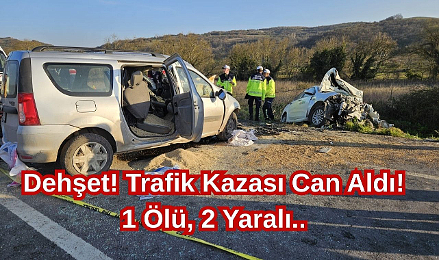 Dehşet! Trafik Kazası Can Aldı! 1 Ölü, 2 Yaralı..