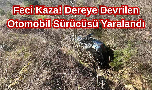 Feci Kaza! Dereye Devrilen Otomobil Sürücüsü Yaralandı