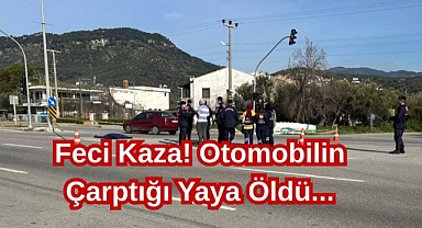 Feci Kaza! Otomobilin Çarptığı Yaya Öldü...