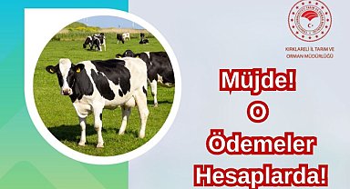 Müjde! O Ödemeler Hesaplarda!
