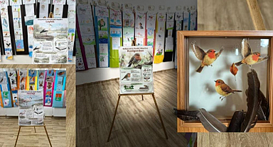 100. Yıl İlkokulu'nda 