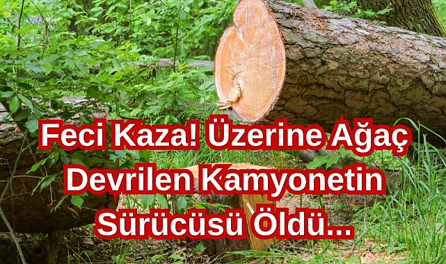 Dehşet! Üzerine Ağaç Devrilen Kamyonetin Sürücüsü Öldü