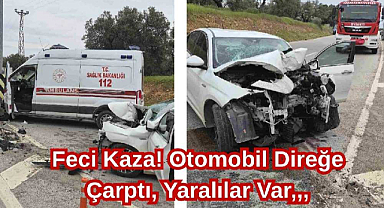 Feci Kaza! Otomobil Direğe Çarptı, Yaralılar Var,,,