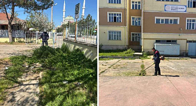 Kavaklı Yaza Hazırlanıyor 