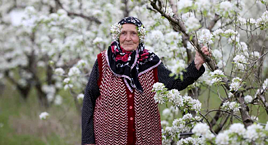 Kırklareli'nde Görsel Şölen! Bahçeler Beyaza Büründü