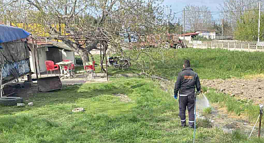 Lüleburgaz'da Sivrisineklere Karşı Sıkı Önlem! 
