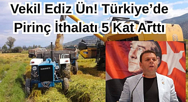 Vekil Ediz Ün: