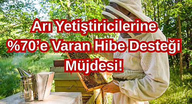Arı Yetiştiricilerine %70'e Varan Hibe Desteği Müjdesi!