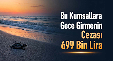 Bu Kumsallara Gece Girmenin Cezası 699 Bin Lira!
