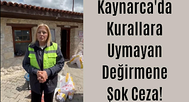 Kaynarca'da Kurallara Uymayan Değirmene Şok Ceza! 