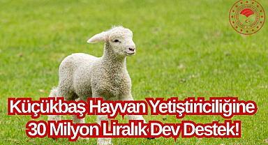 Küçükbaş Hayvan Yetiştiriciliğine 30 Milyon Liralık Dev Destek!