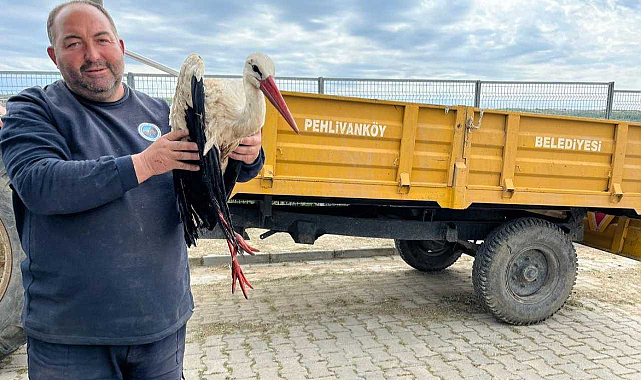 Pehlivanköy'de Yaralı Leylek Koruma Altına Alındı