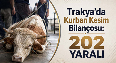 Trakya'da Kurban Kesim Bilançosu: 202 Yaralı!