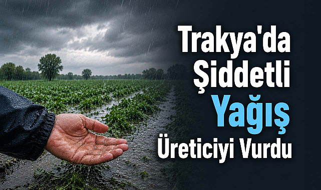 Trakya'da Şiddetli Dolu ve Yağış Üreticiyi Vurdu