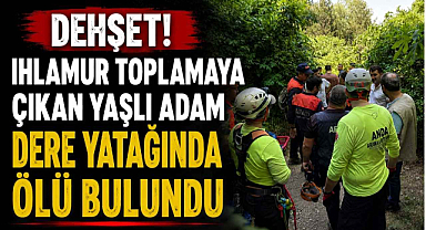 Dehşet! Ihlamur Toplamaya Çıkan Yaşlı Adam Dere Yatağında Ölü Bulundu 