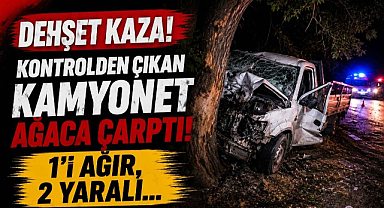 Dehşet Kaza! Kontrolden Çıkan Kamyonet Ağaca Çarptı, 1’i Ağır, 2 Yaralı…