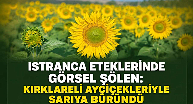 Istranca Eteklerinde Görsel Şölen! Kırklareli Ayçiçekleriyle Sarıya Büründü
