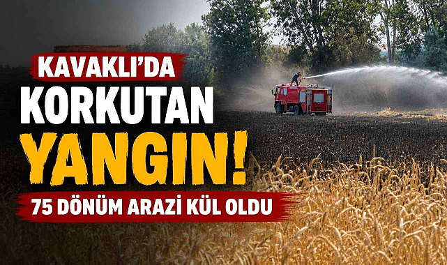 Kavaklı'da Korkutan Yangın! 75 Dönüm Arazi Kül Oldu