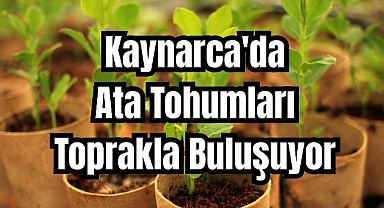 Kaynarca'da Ata Tohumları Toprakla Buluşuyor