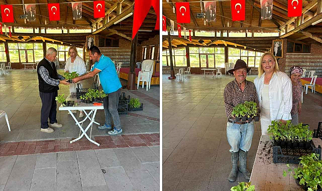 Kaynarca’da Tarıma Can Suyu! Kavun Fideleri Vatandaşlara Ulaştı