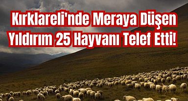Kırklareli'nde Meraya Düşen Yıldırım 25 Hayvanı Telef Etti!