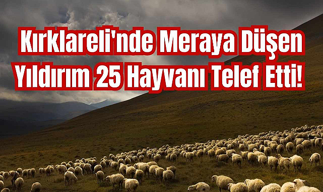 Kırklareli'nde Meraya Düşen Yıldırım 25 Hayvanı Telef Etti!