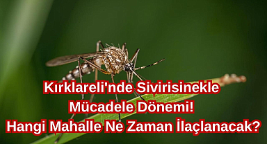 Kırklareli'nde Sivirisinekle Mücadele Dönemi! Hangi Mahalle Ne Zaman İlaçlanacak?
