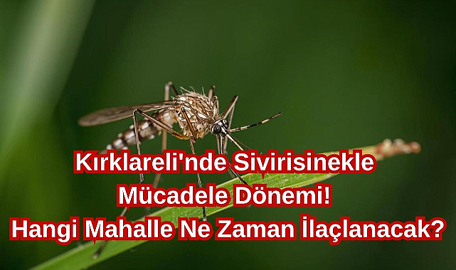 Kırklareli'nde Sivirisinekle Mücadele Dönemi! Hangi Mahalle Ne Zaman İlaçlanacak?