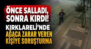 Önce Salladı, Sonra Kırdı! Kırklareli'nde Ağaca Zarar Veren Kişiye Soruşturma