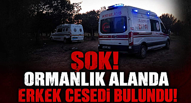 Şok! Ormanlık Alanda Erkek Cesedi Bulundu!