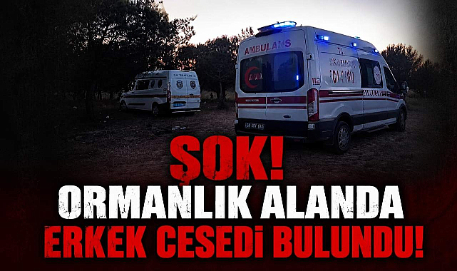 Şok! Ormanlık Alanda Erkek Cesedi Bulundu!