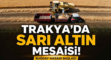 Trakya’da Sarı Altın Mesaisi! Buğday Hasadı Başladı