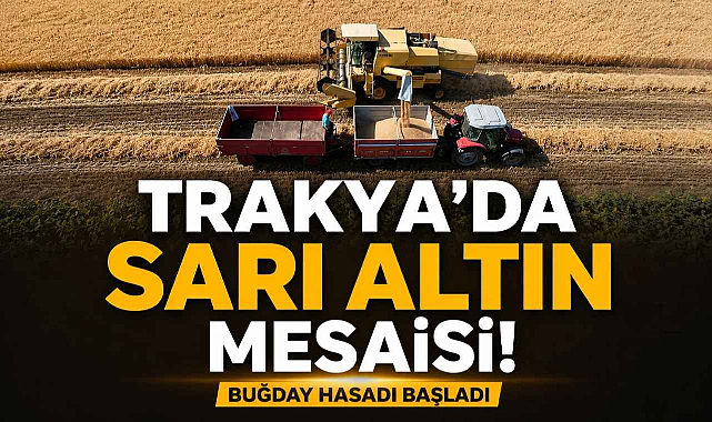 Trakya’da Sarı Altın Mesaisi! Buğday Hasadı Başladı