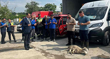 Vize'de Yeni Hizmet Araçları İçin Kurban Kesildi!