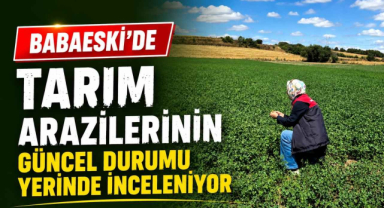 Babaeski’de Tarım Arazilerinin Güncel Durumu Yerinde İnceleniyor