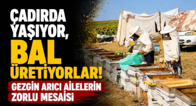 Çadırda Yaşıyor, Bal Üretiyorlar! Gezgin Arıcı Ailelerin Zorlu Mesaisi...