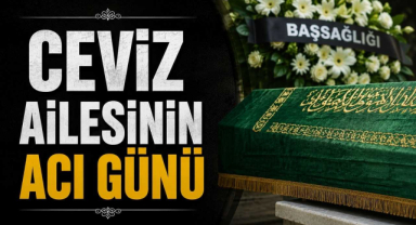 Ceviz Ailesinin Acı Günü