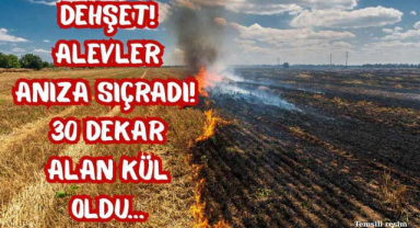 Dehşet! Alevler Anıza Sıçradı! 30 Dekar Alan Kül Oldu...