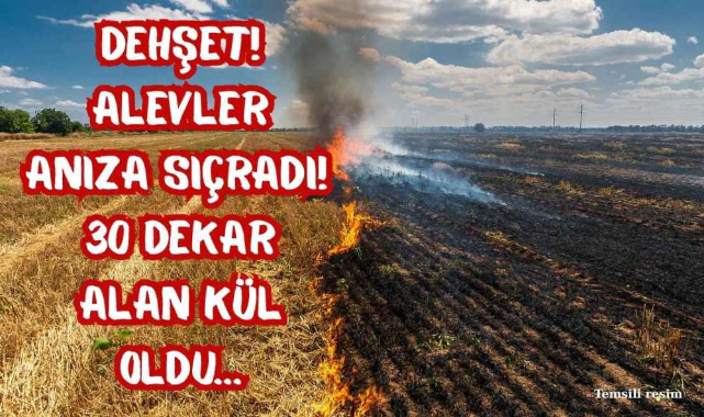 Dehşet! Alevler Anıza Sıçradı! 30 Dekar Alan Kül Oldu...